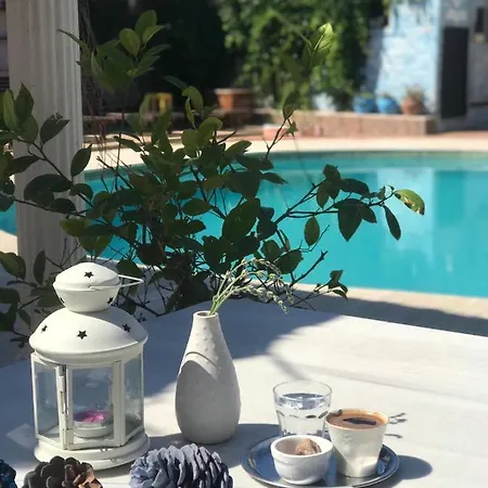 Cunda Leo Boutique & Pool Ayvalı