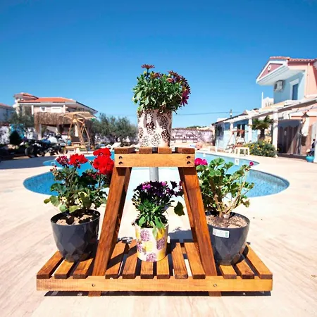 Hotel Cunda Leo Boutique & Pool *